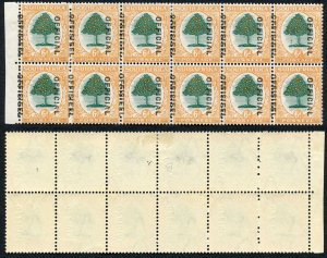 South Africa SGO16/b 6d opt Official Drastically Missplaced Block of 12