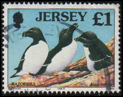 Jersey 832 - Used - £1 Razorbill (1998) (cv $3.25) +
