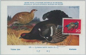 81303 - GERMANY DDR  - Postal History - FDC MAXIMUM CARD -   1965  Birds