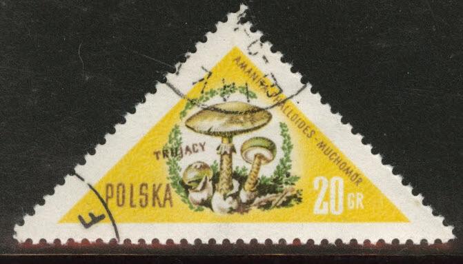 Poland Scott 842 key 1959  used mushroom