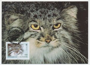 Maximum card Tajikistan 1986 Wildcat - WWF