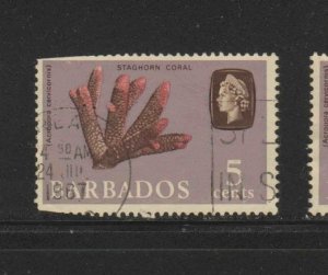 BARBADOS #271   1965  5c    QEII & STAGHORN CORAL    USED F-VF   e