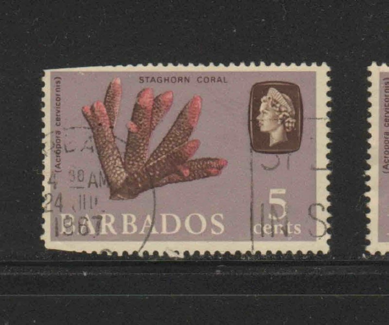 BARBADOS #271   1965  5c    QEII & STAGHORN CORAL    USED F-VF   e