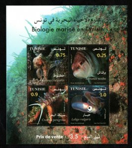 2021 - Tunisia - Marine biology in Tunisia - Fishes - Perforated block - MNH**