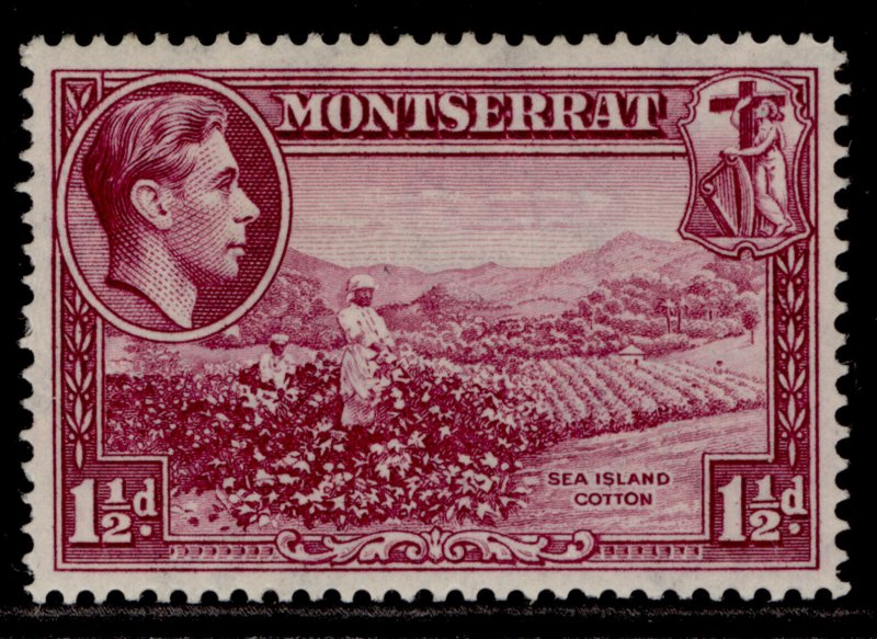 MONTSERRAT GVI SG103a, 1½d purple, M MINT.