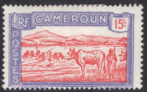 CAMEROUN SCOTT 176