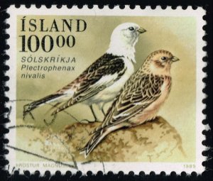 Iceland #672 Snow Bunting Birds; Used