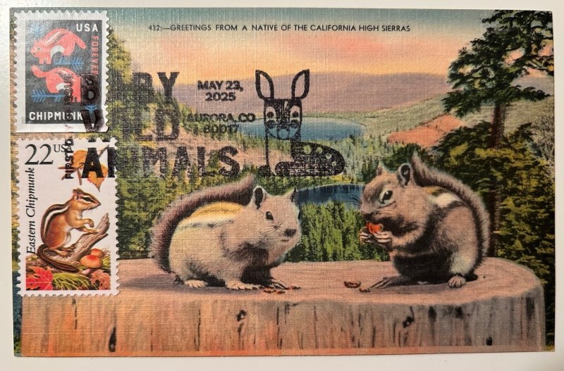 2025 Baby Wild Animals FDC Maxicard Chipmunk .22c North American Wildlife