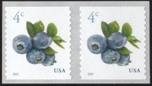 SC#5653 4¢ Blueberries Coil Pair (2022) SA