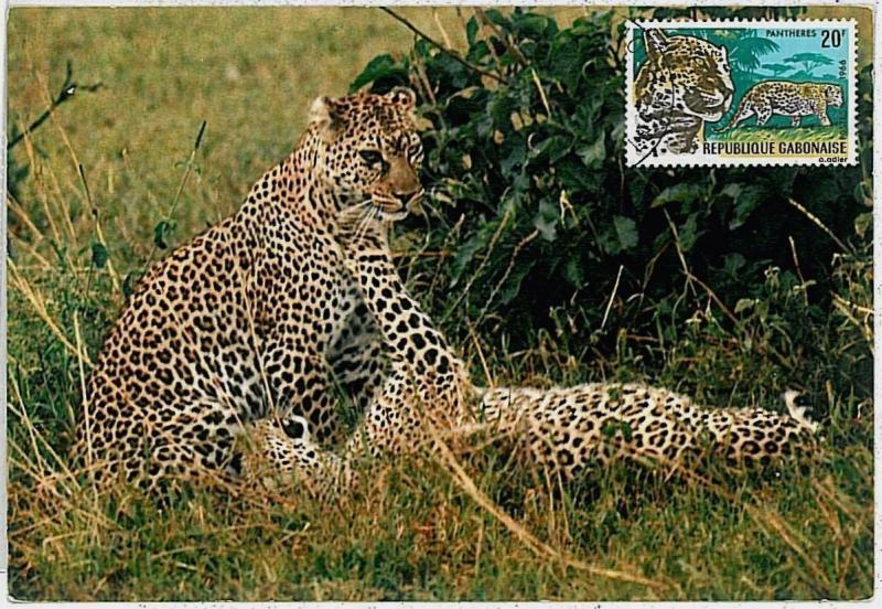 MAXIMUM CARD - POSTAL HISTORY - Gabon: Panthers, Safari, Wild Fauna, 1967