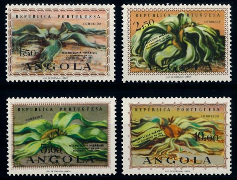 [66562] Angola 1959 Flora Succulent Plant  MNH