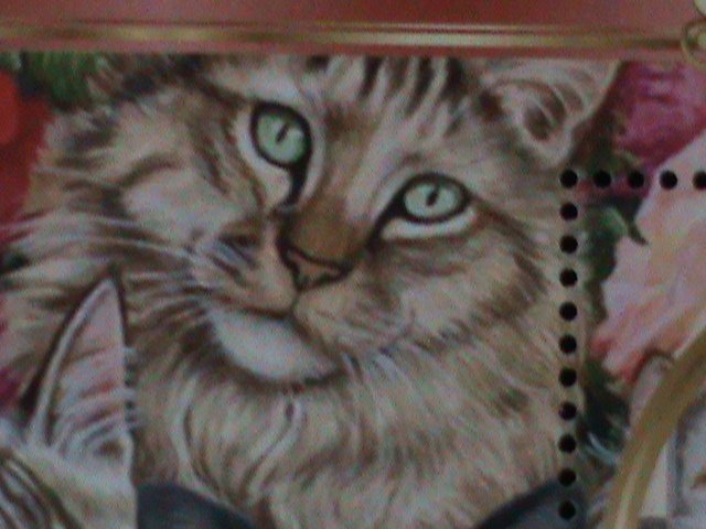 ​MADAGASCAR-2022-PROMOTE-LOVELY CATS-CTO-SHEET-EST.$12 VF LAST ONE  CTO SHEET