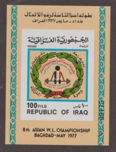 Iraq Scott #819 Imperf Plate #09175 Stamp - Mint NH Souvenir Sheet