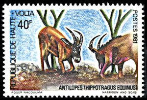 Upper Volta 579, MNH, Roan Antelope
