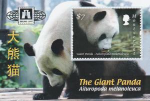 MONTSERRAT  GIANT PANDA