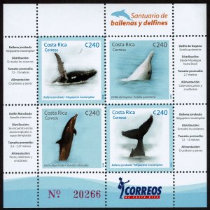 Costa Rica #619 Souvenir Sheet MNH - Whales and Dolphins (2008)