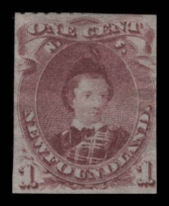 Newfoundland Scott #37 (Rouletted) 1 Cent / Mint - Lightly Hinged > Year 1877