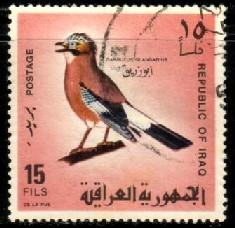 Bird, Eurasian Jay, Iraq SC#465 used