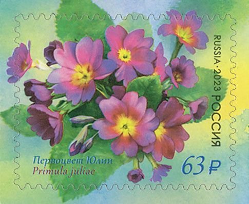 Postage stamps of Russia 2023 - Flora of Russia. Primroses