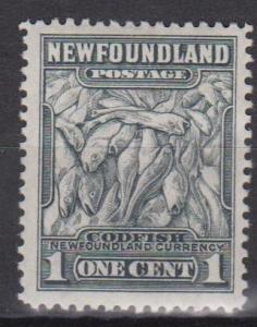 Newfoundland #253 F-VF Unused  (ST471)