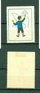 Greenland. 1955 Poster Stamp Cancel. Aid Tuberculosis. Boy, Polar Bear.