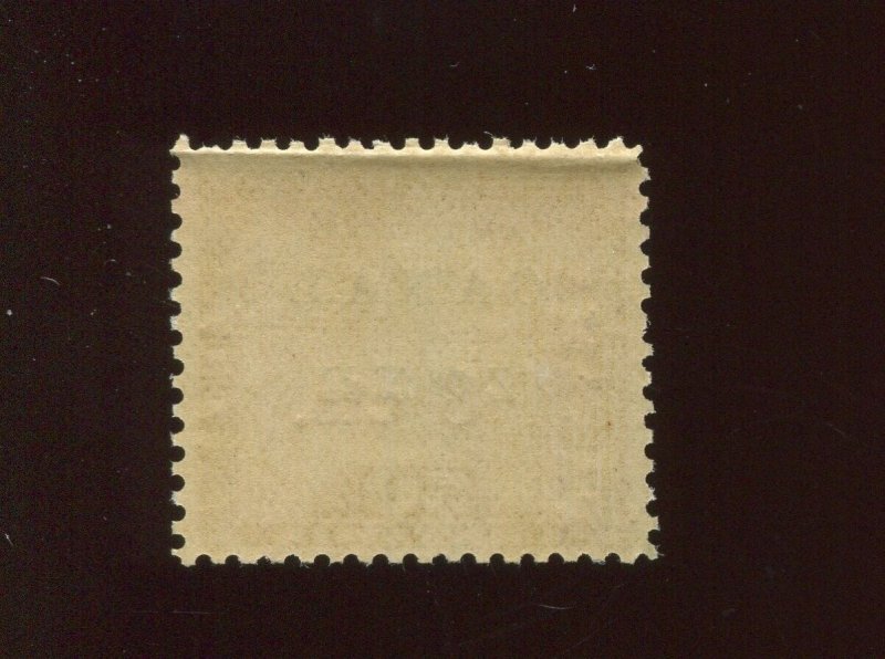 Canal Zone 20 Antique Z of ZONE Variety Mint Stamp  BX4642