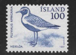 Iceland Scott 544 MNH** 1981 Bird stamp