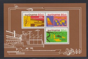 Surinam 509 Development SS mnh