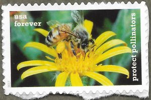 United States #5229 (49c) Protect Pollinators: Honey Bee & Ragwort MNH (2017)