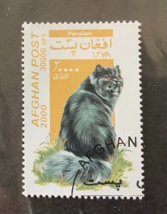 Afghanistan 2000  Mi 1939 CTO - 3000afs, domestic cats,  Persian cat