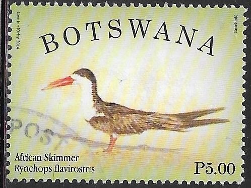 Botswana 946 Used - Birds - African Skimmer (Rhynchops flavirostris)