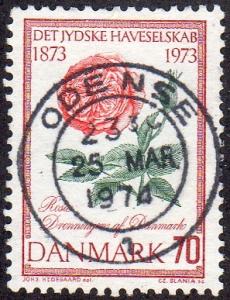 Denmark 521 - Used - 70o Denmark Rose (1973) (cv $0.30)