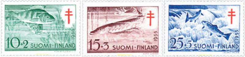 87613 MNH FINLANDIA 1955 ANTITUBERCULOSIS