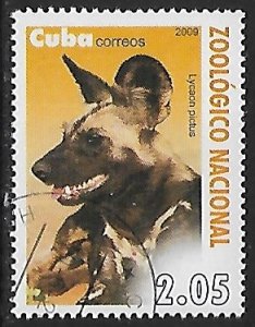 Cuba # 5003 - Wild Dog - unused / CTO....{Z10}