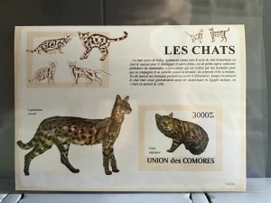 Comoro Islands 2009 Cats  mint never hinged stamp sheet R25281