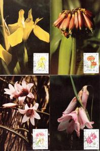 Ciskei - 1988 Protected Flowers Maxi Card Set