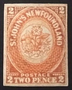 Newfoundland 11 VF MH OG ** See Certificate **