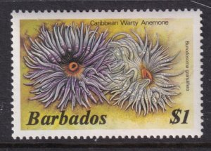 Barbados 656 Marine Life MNH VF