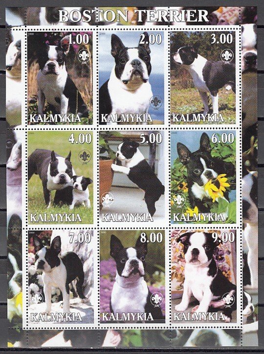 Kalmykia, 2000. Russian Local. Boston Terriers, Dogs sheet of 9. ^