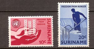 Suriname - 1963 - NVPH 394-95 - MNH - ZO125