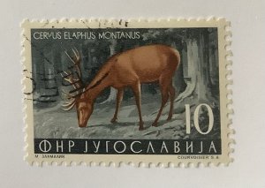 Yugoslavia 1954 - Scott  400 CTO - 10d, Red Deer