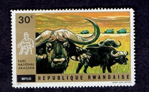 RWANDA SCOTT#445 1972 30c AFRICAN BUFFALO - MH