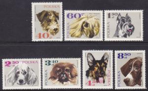 Poland 1636-43 MNH 1968 Various Types of Dogs Full Set