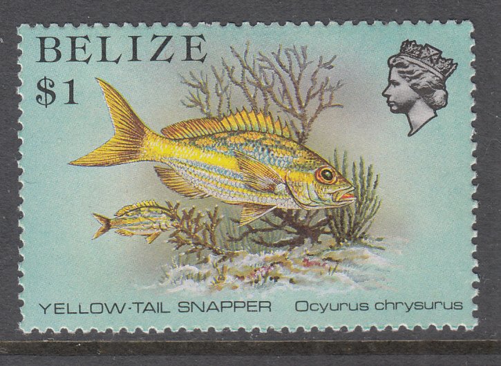 Belize 711 Fish MNH VF