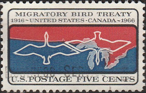 # 1306 USED MIGRATORY BIRD TREATY