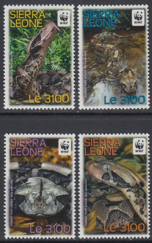 XG-BA921 SIERRA LEONE IND - Wwf, 2011 Forest Puff Adder, Snakes MNH Set