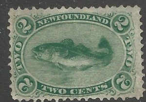 Newfoundland 24a   Used