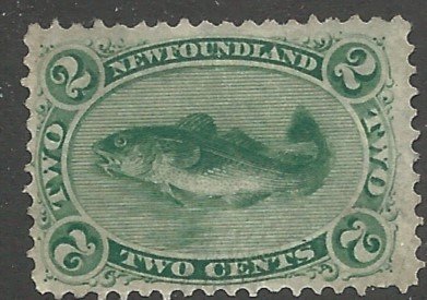 Newfoundland 24a   Used