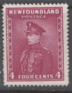 Newfoundland Scott 189 MNG