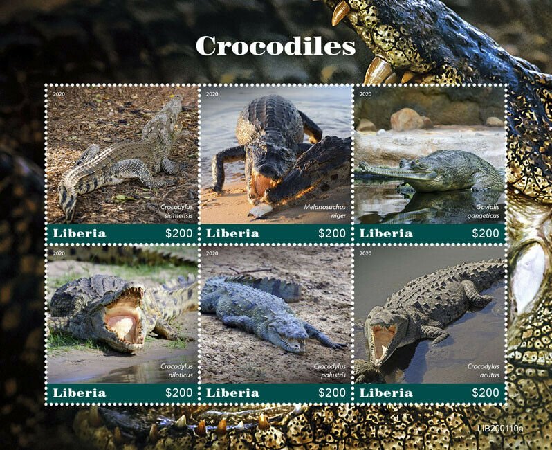 Liberia Reptiles Stamps 2020 MNH Crocodiles Nile Crocodile Gharial